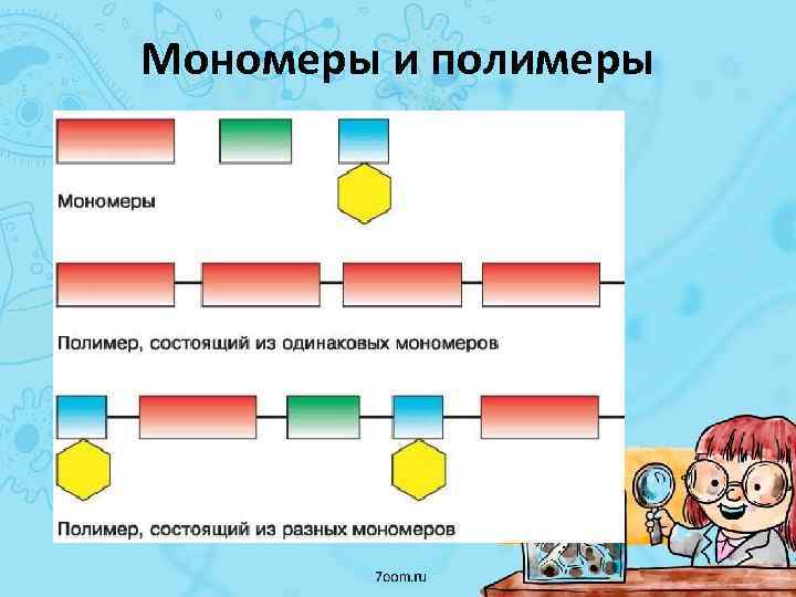 Мономеры и полимеры 