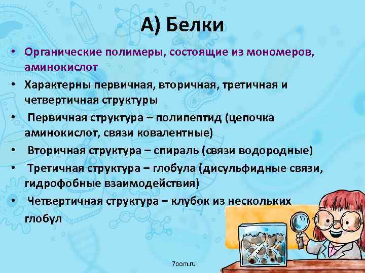 А) Белки • Органические полимеры, состоящие из мономеров, аминокислот • Характерны первичная, вторичная, третичная