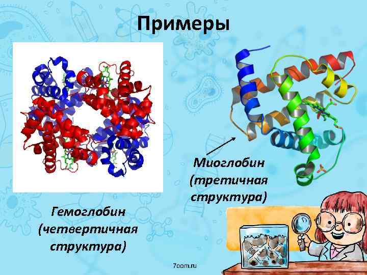 Третичная и четвертичная структура