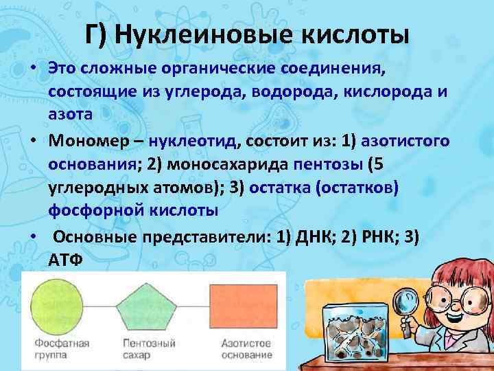 Г) Нуклеиновые кислоты • Это сложные органические соединения, состоящие из углерода, водорода, кислорода и