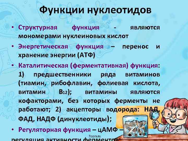 Структурная функция