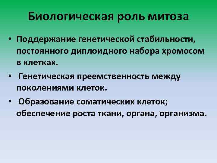Биологическая роль митоза • Поддержание генетической стабильности, постоянного диплоидного набора хромосом в клетках. •