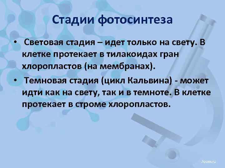 Стадии фотосинтеза • Световая стадия – идет только на свету. В клетке протекает в