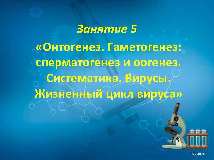 Занятие 5 «Онтогенез. Гаметогенез: сперматогенез и оогенез. Систематика. Вирусы. Жизненный цикл вируса» 