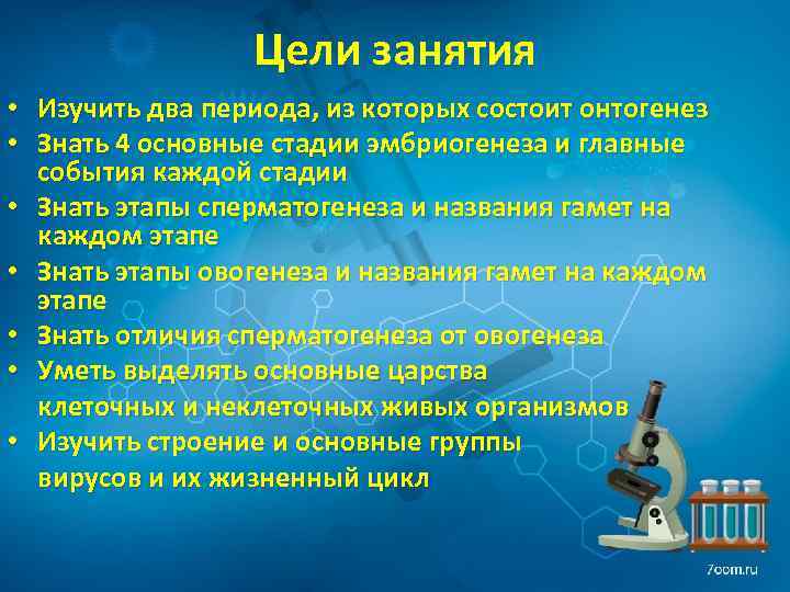 Цели занятия • Изучить два периода, из которых состоит онтогенез • Знать 4 основные