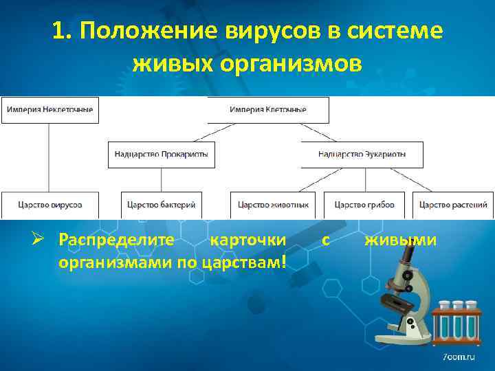 1. Положение вирусов в системе живых организмов Ø Распределите карточки организмами по царствам! с