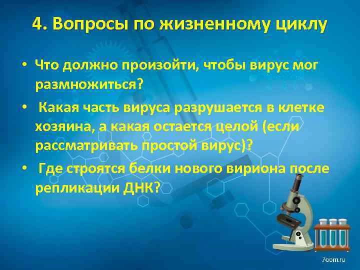 4. Вопросы по жизненному циклу • Что должно произойти, чтобы вирус мог размножиться? •