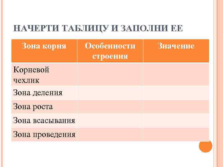 НАЧЕРТИ ТАБЛИЦУ И ЗАПОЛНИ ЕЕ Зона корня Корневой чехлик Зона деления Зона роста Зона