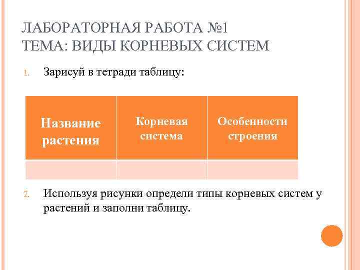 ЛАБОРАТОРНАЯ РАБОТА № 1 ТЕМА: ВИДЫ КОРНЕВЫХ СИСТЕМ 1. Зарисуй в тетради таблицу: Название