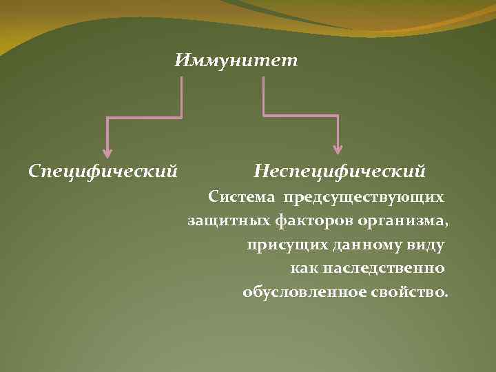 Иммунитет Специфический Неспецифический Система предсуществующих защитных факторов организма, присущих данному виду как наследственно обусловленное