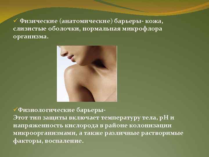 ü Физические (анатомические) барьеры- кожа, слизистые оболочки, нормальная микрофлора организма. üФизиологические барьеры. Этот тип
