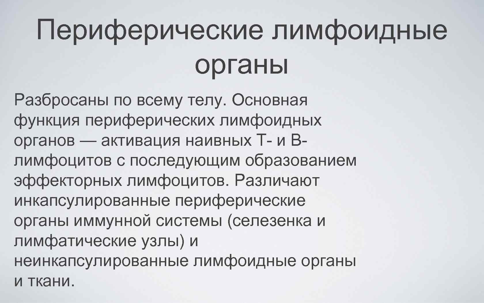 Периферические лимфоидные органы Разбросаны по всему телу. Основная функция периферических лимфоидных органов — активация