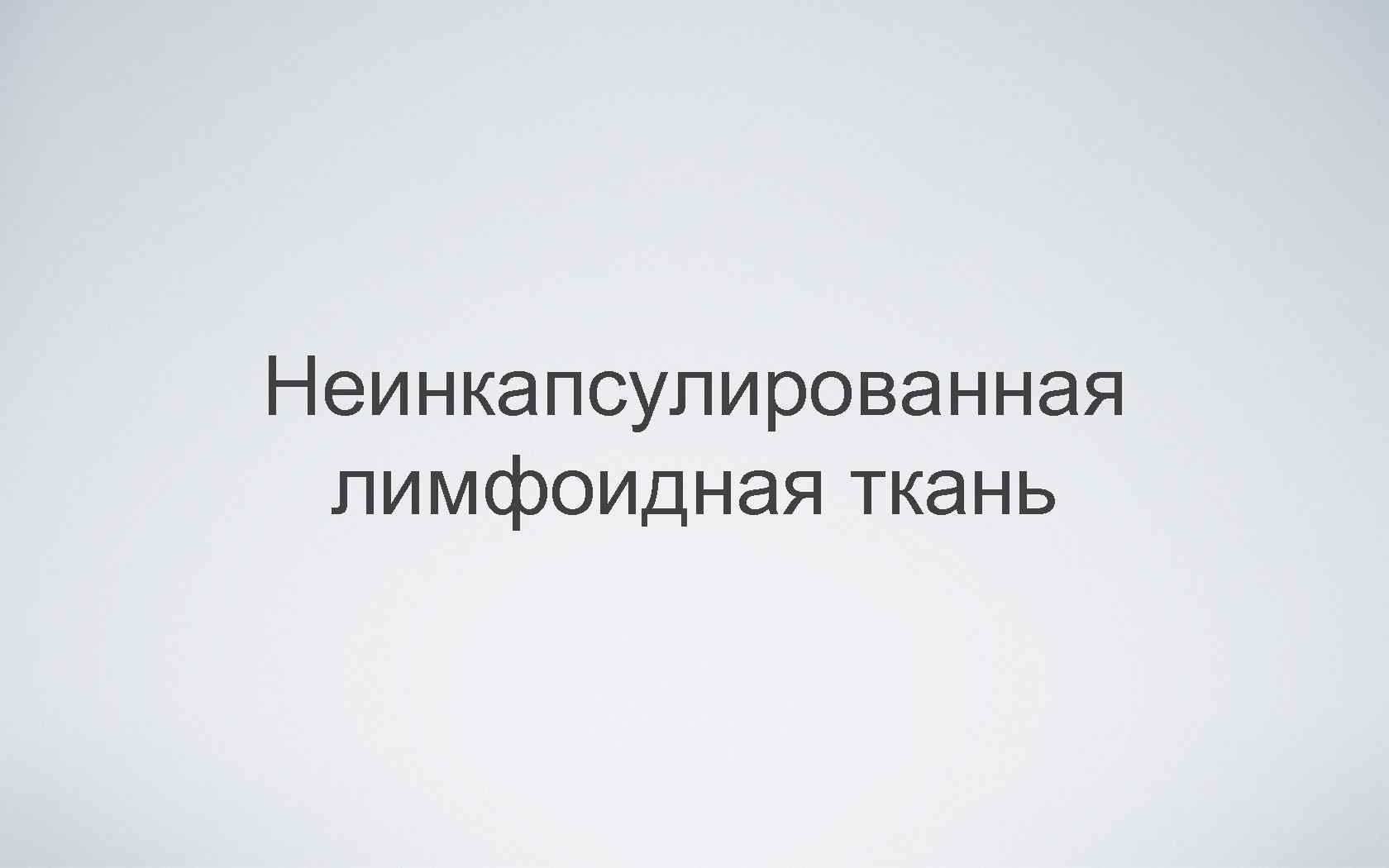 Неинкапсулированная лимфоидная ткань 