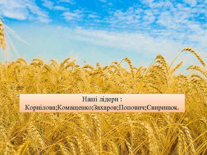 Наші лідери : Корнілова; Комащенко; Захаров; Попович; Свиринюк. 