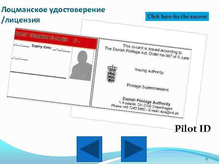 Лоцманское удостоверение /лицензия Click here for the answer Pilot ID 15 