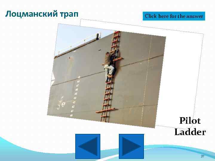 Лоцманский трап Click here for the answer Pilot Ladder 37 