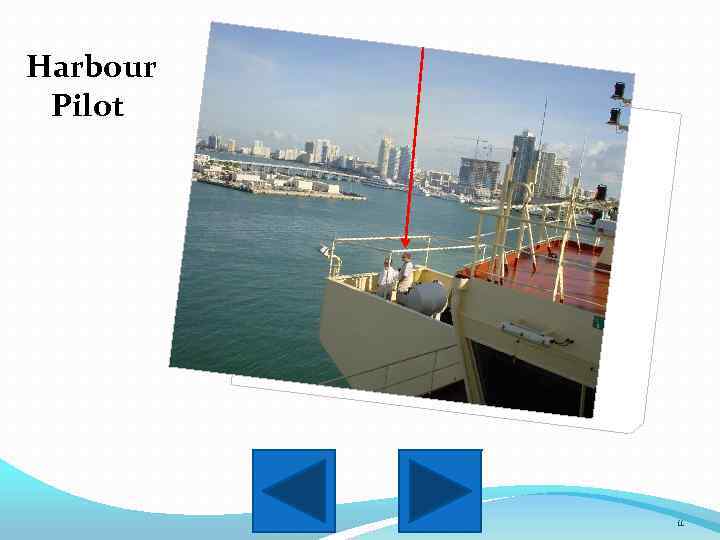 Harbour Pilot 11 
