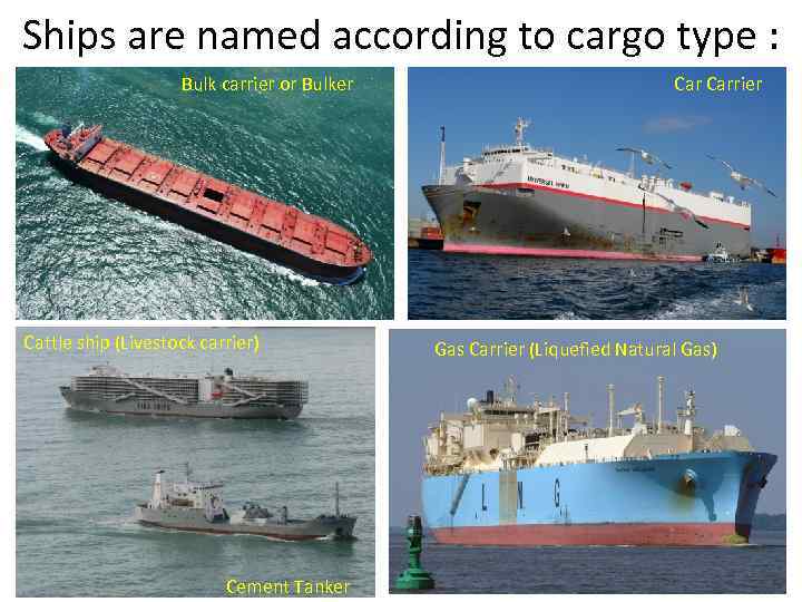 Ships are named according to cargo type : Bulk carrier or Bulker Cattle ship