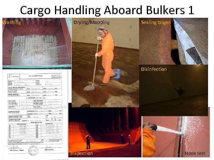 Cargo Handling Aboard Bulkers 1 Washing Drying/Mopping Sealing bilges Disinfection Inspection Hose test 