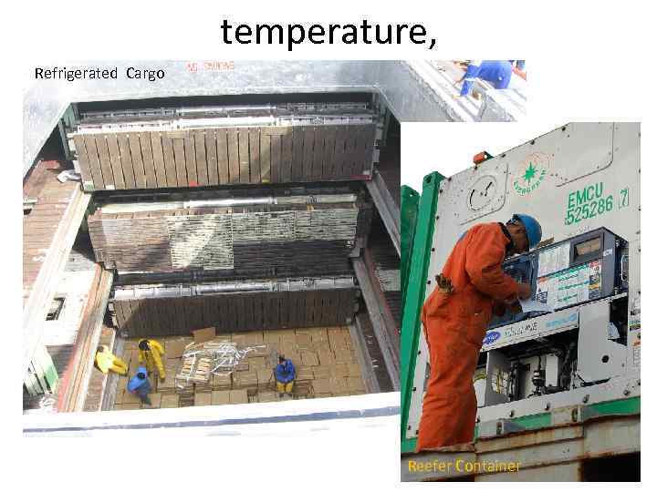 temperature, Refrigerated Cargo Reefer Container 