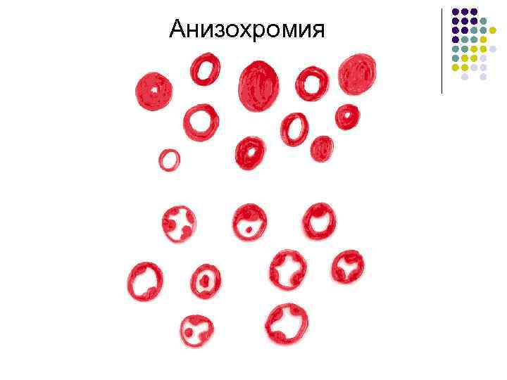 Анизохромия 