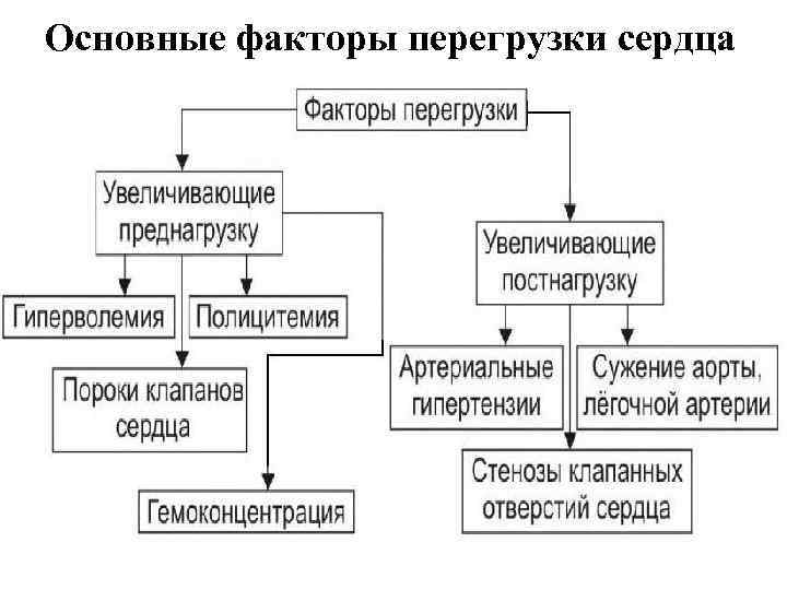 Основные факторы перегрузки сердца 