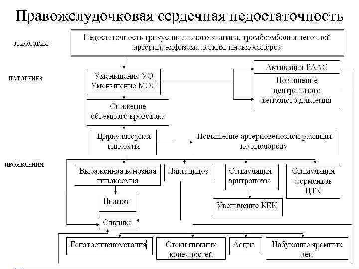 Правожелудочковая сердечная недостаточность 