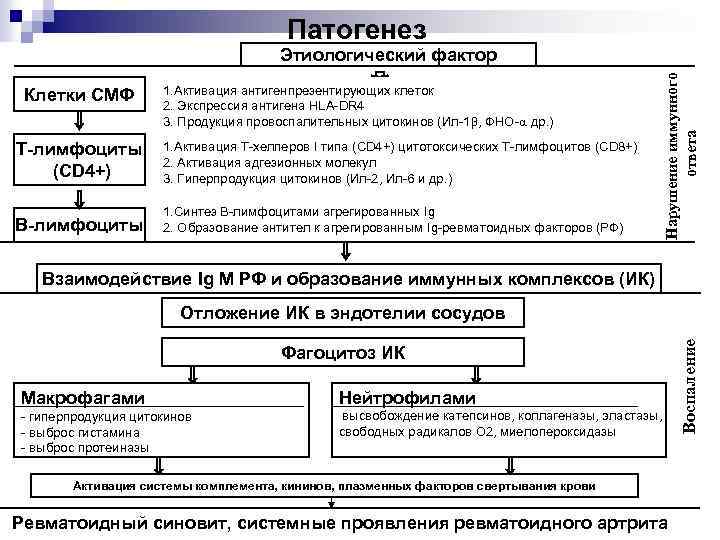 Патогенез ревматоидного артрита схема