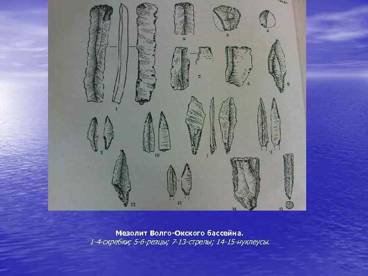 Мезолит Волго-Окского бассейна. 1 -4 -скребки; 5 -6 -резцы; 7 -13 -стрелы; 14 -15