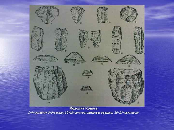 Мезолит Крыма: 1 -4 -скребки; 5 -9 -резцы; 10 -13 -сегментовидные орудия; 16 -17