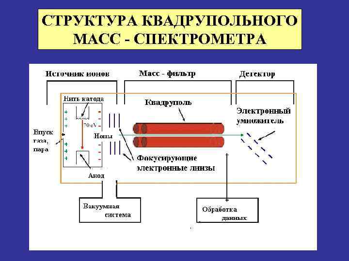 СТРУКТУРА КВАДРУПОЛЬНОГО МАСС - СПЕКТРОМЕТРА 