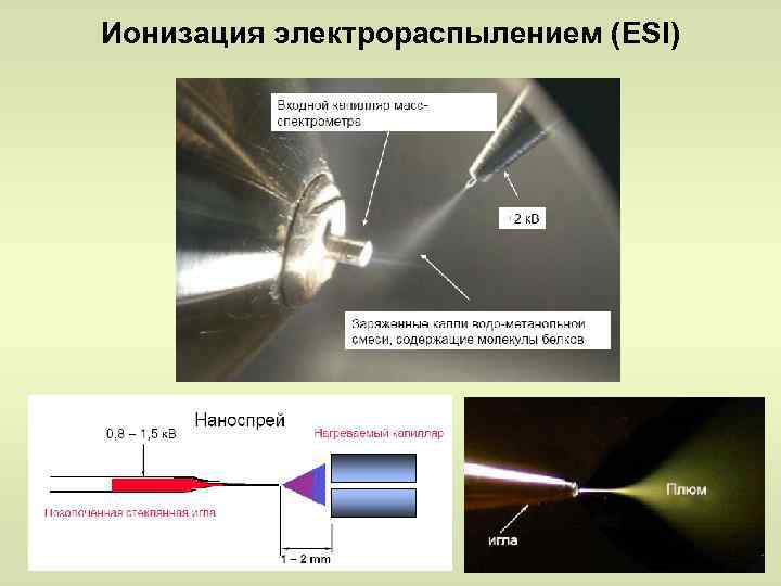Ионизация электрораспылением (ESI) 