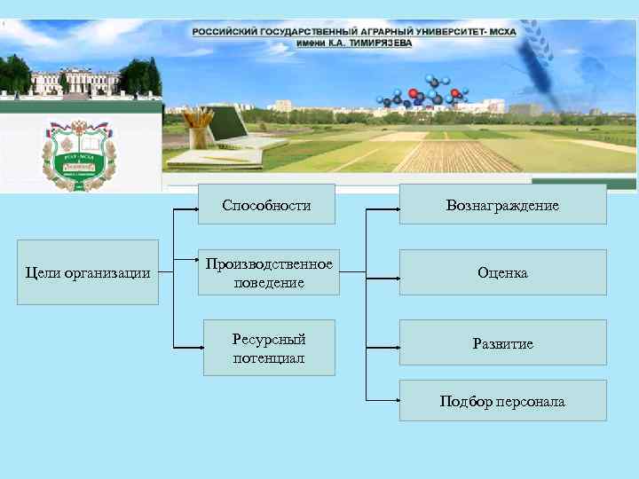 Способности Цели организации Вознаграждение Производственное поведение Оценка Ресурсный потенциал Развитие Подбор персонала 