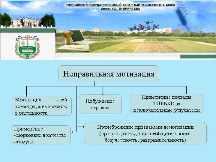 Неправильная мотивация Мотивация всей команды, а не каждого в отдельности Применение «морковки» в качестве