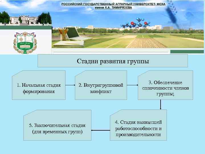 Стадии развития группы 1. Начальная стадия формирования 2. Внутригрупповой конфликт 5. Заключительная стадия (для