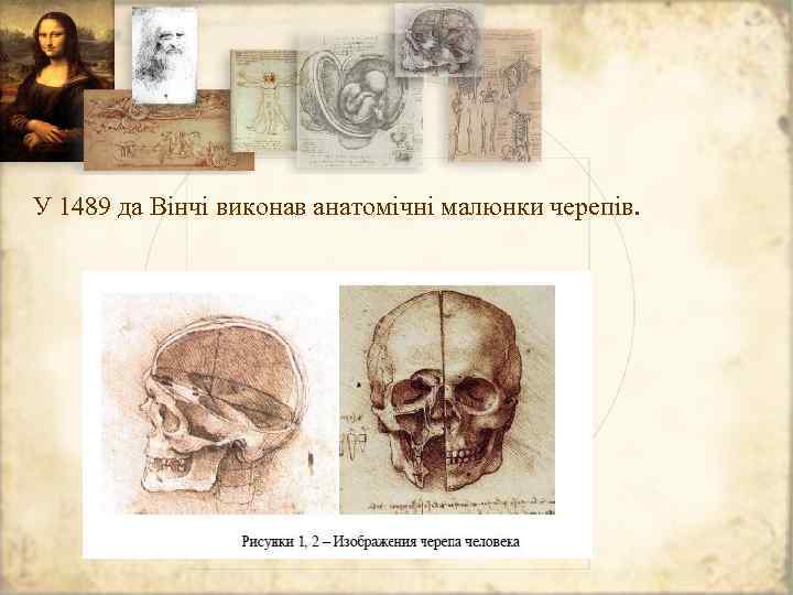 У 1489 да Вінчі виконав анатомічні малюнки черепів. 