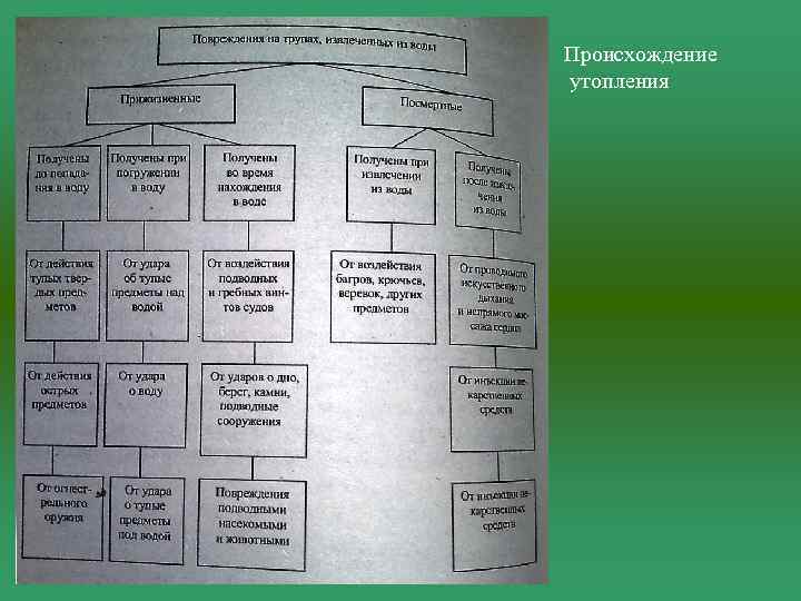Происхождение утопления 