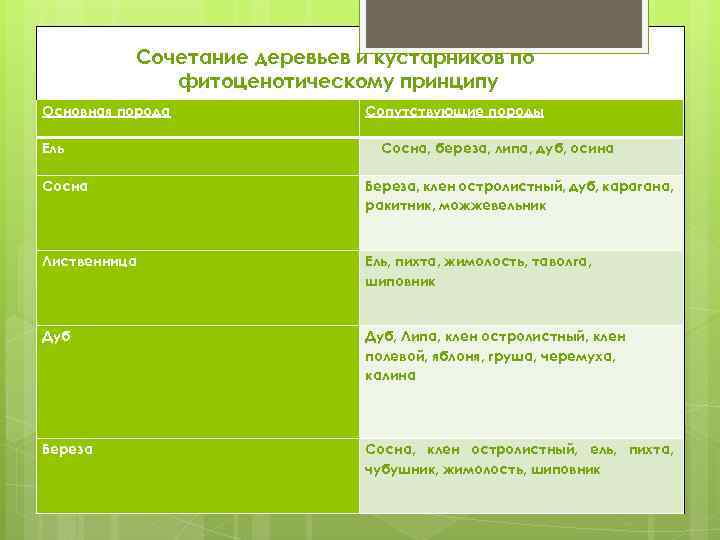 Сочетание деревьев и кустарников по фитоценотическому принципу Основная порода Ель Сопутствующие породы Сосна, береза,