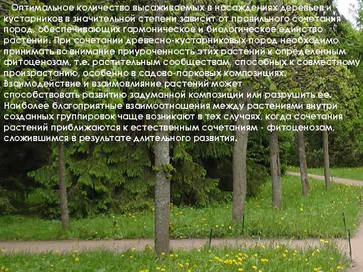 Оптимальное количество высаживаемых в насаждениях деревьев и кустарников в значительной степени зависит от правильного