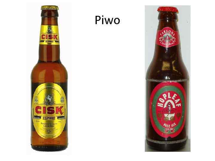 Piwo 