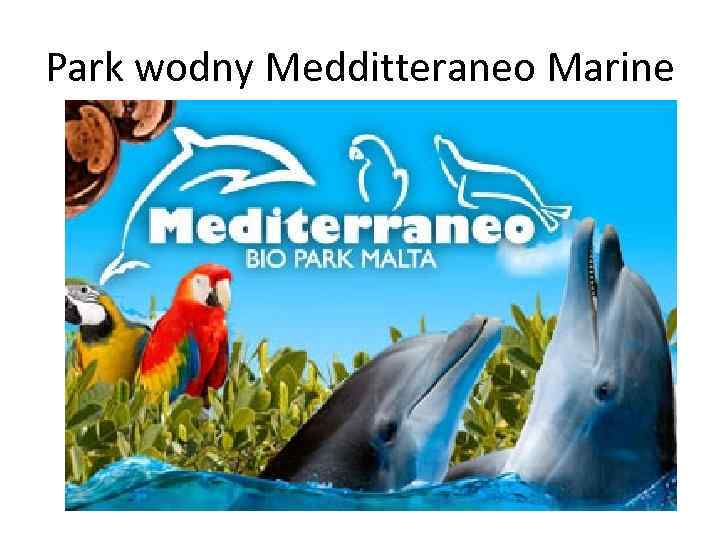 Park wodny Medditteraneo Marine 