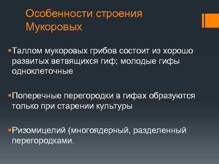 Особенности строения Мукоровых § Таллом мукоровых грибов состоит из хорошо развитых ветвящихся гиф; молодые