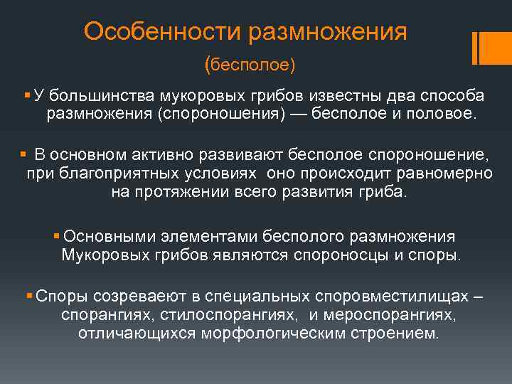 Особенности размножения (бесполое) § У большинства мукоровых грибов известны два способа размножения (спороношения) —