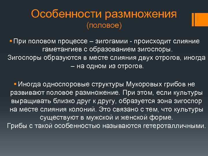 Особенности размножения (половое) § При половом процессе – зигогамии - происходит слияние гаметангиев с