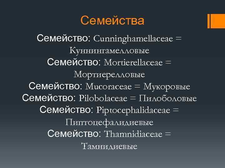 Семейства Семейство: Cunninghamellaceae = Куннингамелловые Семейство: Mortierellaceae = Мортиерелловые Семейство: Mucoraceae = Мукоровые Семейство: