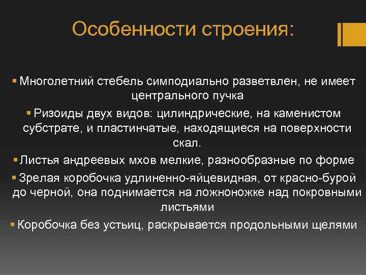 Особенности строения: § Многолетний стебель симподиально разветвлен, не имеет центрального пучка § Ризоиды двух