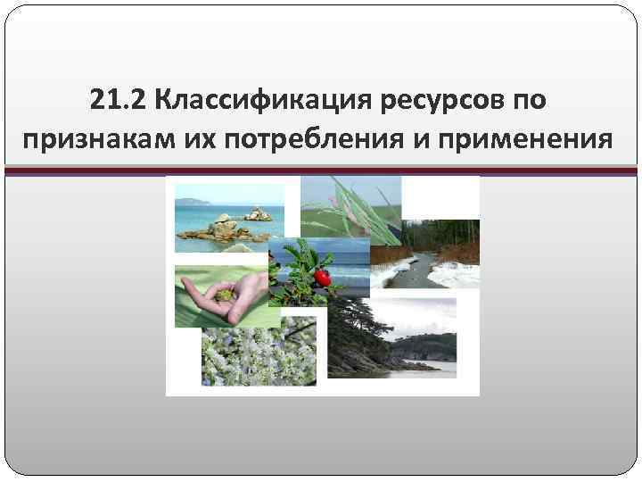 21. 2 Классификация ресурсов по признакам их потребления и применения 