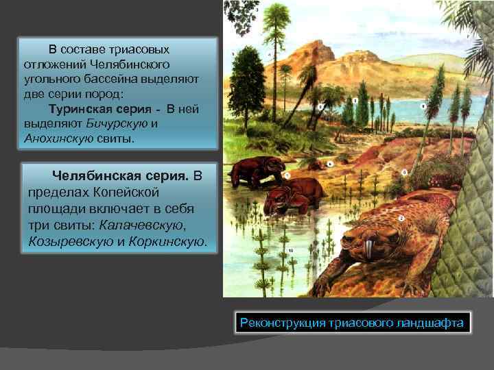 В составе триасовых отложений Челябинского угольного бассейна выделяют две серии пород: Туринская серия -