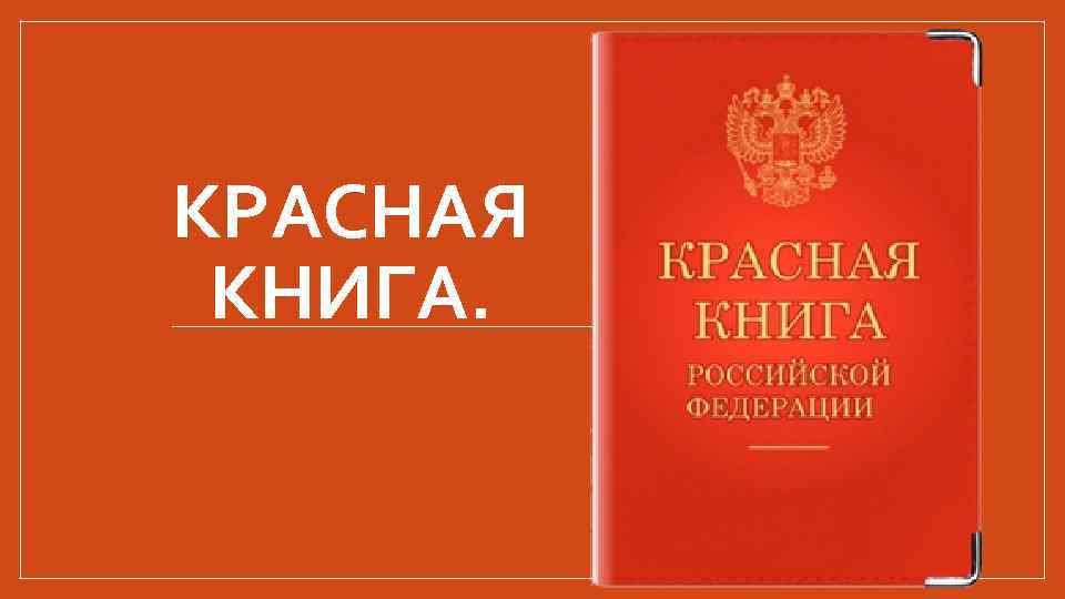 КРАСНАЯ КНИГА. 