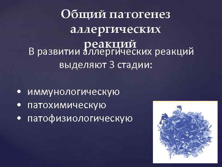 Общий патогенез аллергических реакций В развитии аллергических реакций выделяют 3 стадии: • иммунологическую •